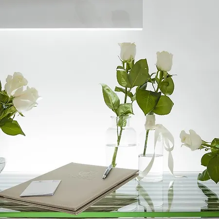 Gasthof Vatican Style 3*